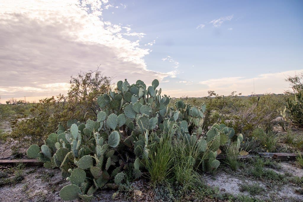 20 acres in Pecos County featured view