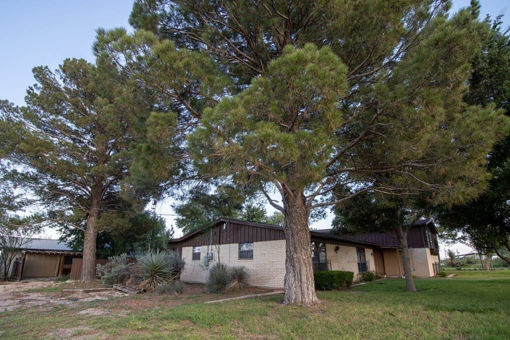 20 acres in Pecos County gallery image 2