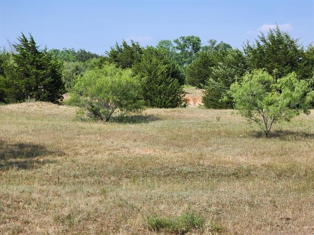 54.51 acres in Wise County gallery image 4