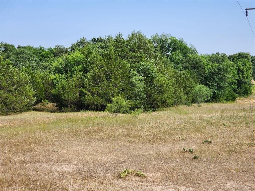 54.51 acres in Wise County gallery image 2