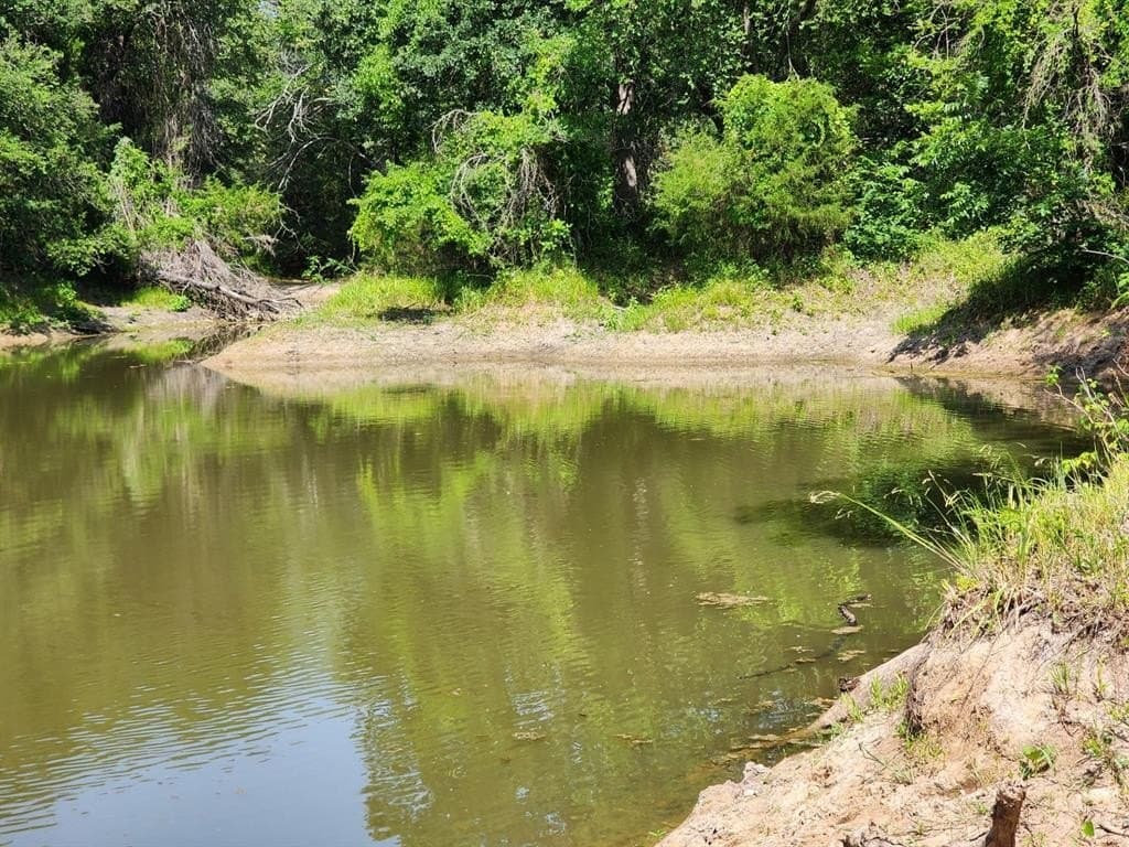 54.51 acres in Wise County