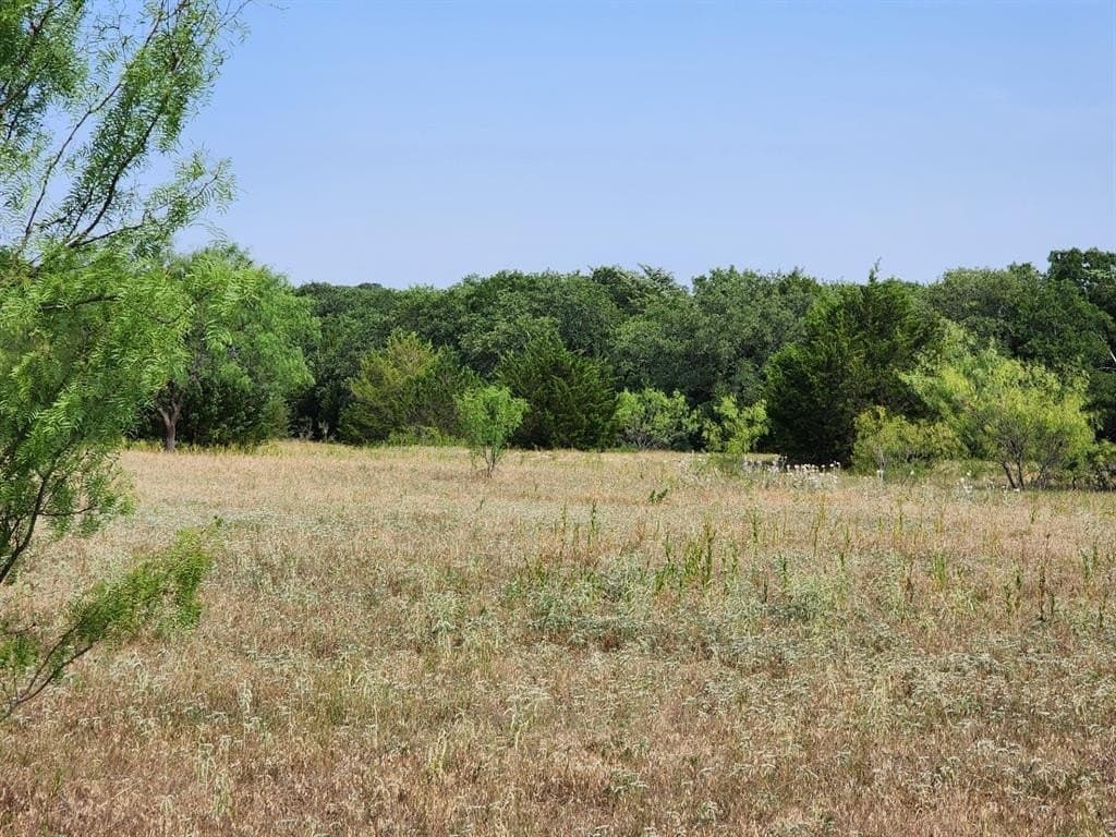 54.51 acres in Wise County featured view