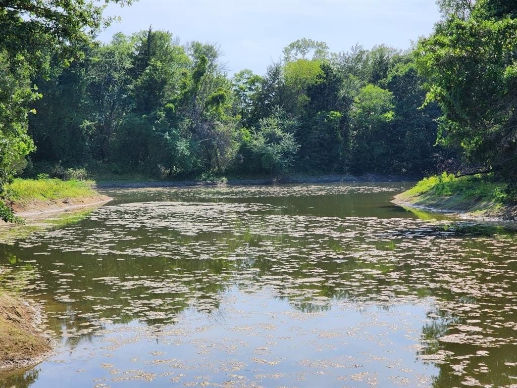 54.51 acres in Wise County gallery image 3