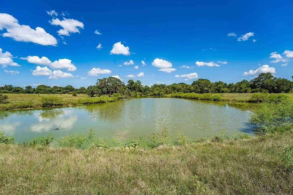 52.16 acres in Colorado County - photo 10
