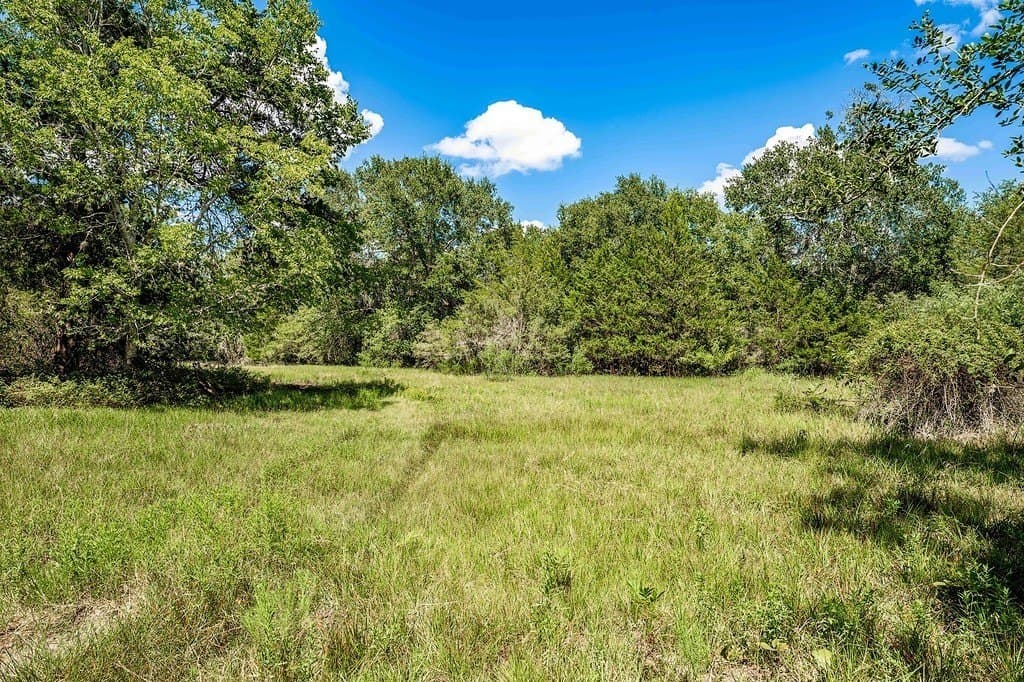 52.16 acres in Colorado County - photo 6