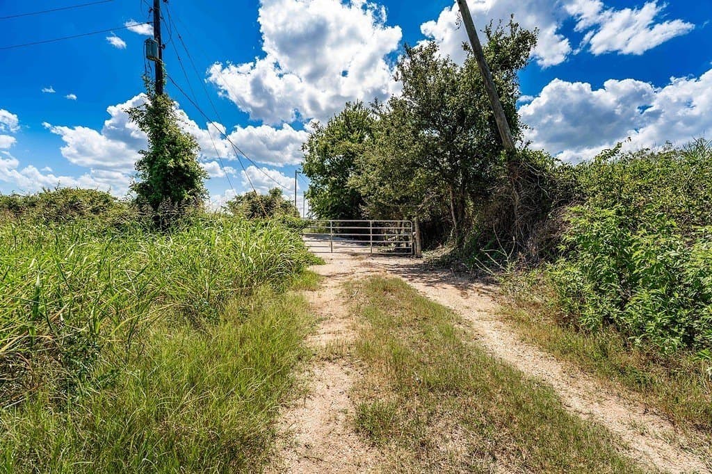 52.16 acres in Colorado County - photo 11