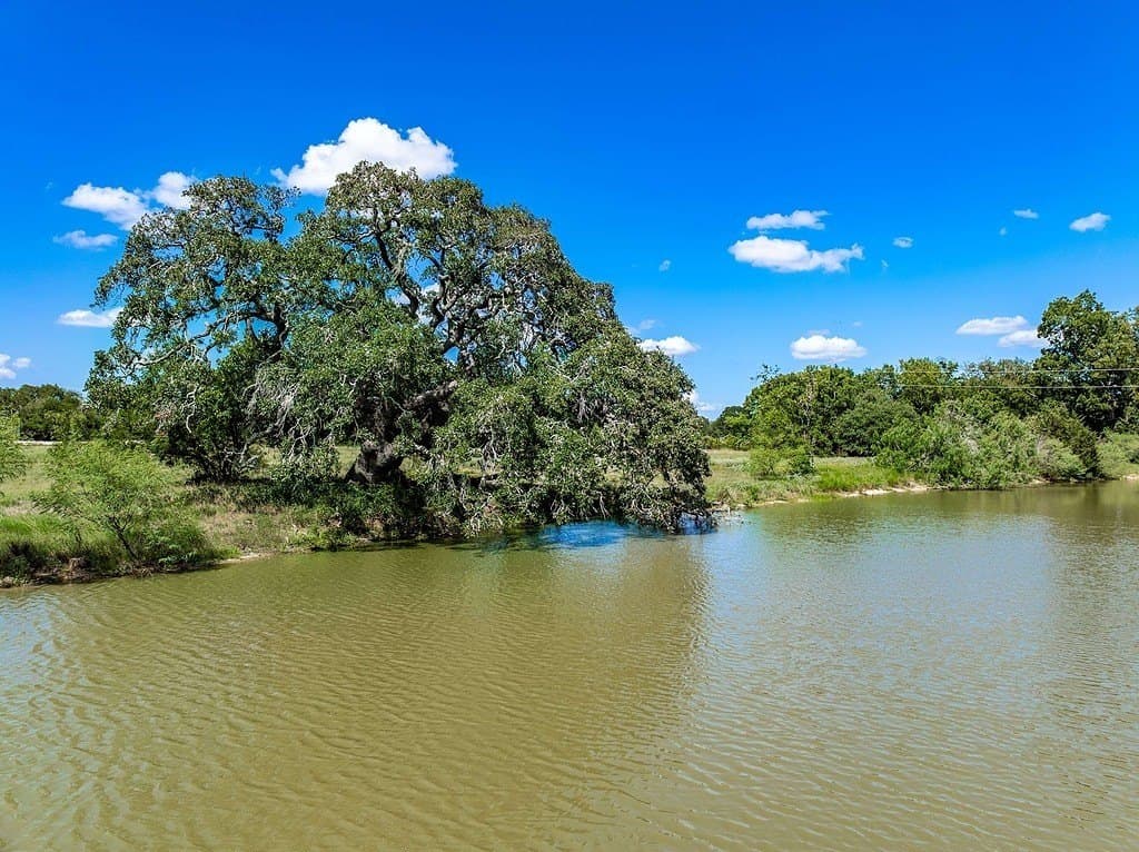 52.16 acres in Colorado County - photo 12