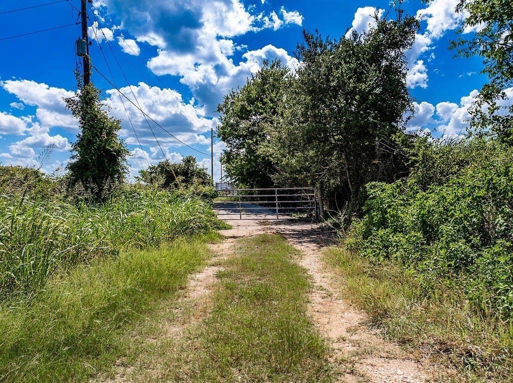 52.16 acres in Colorado County - photo 24