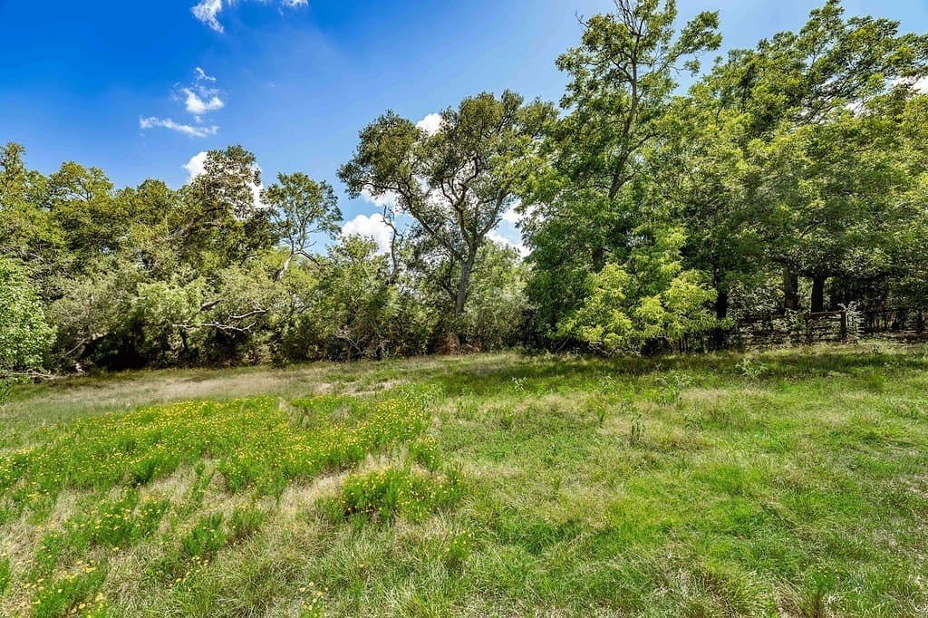 52.16 acres in Colorado County - photo 9