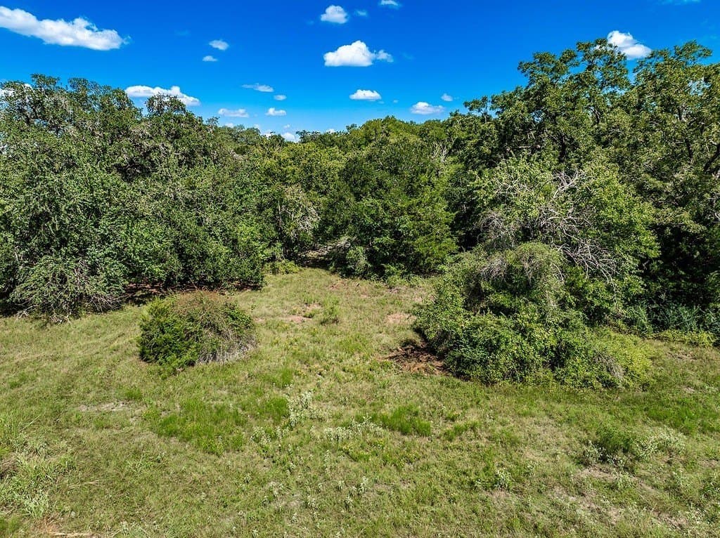 52.16 acres in Colorado County - photo 19