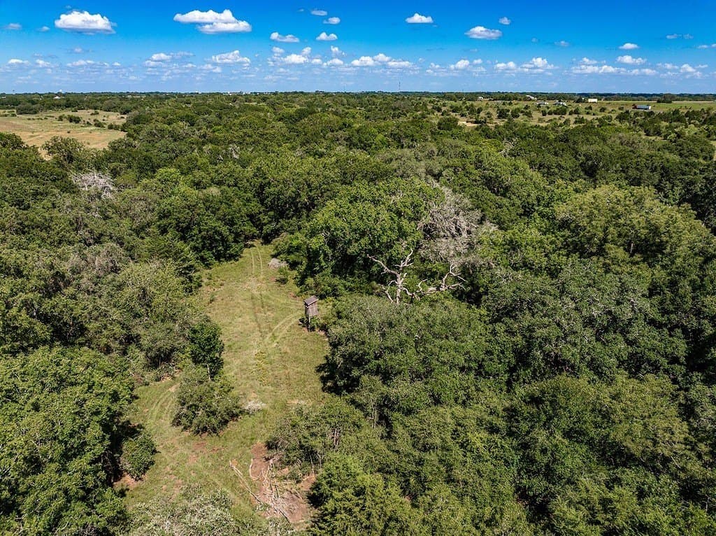 52.16 acres in Colorado County - photo 22
