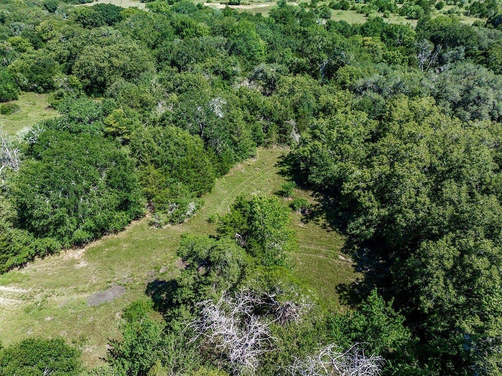 52.16 acres in Colorado County - photo 21