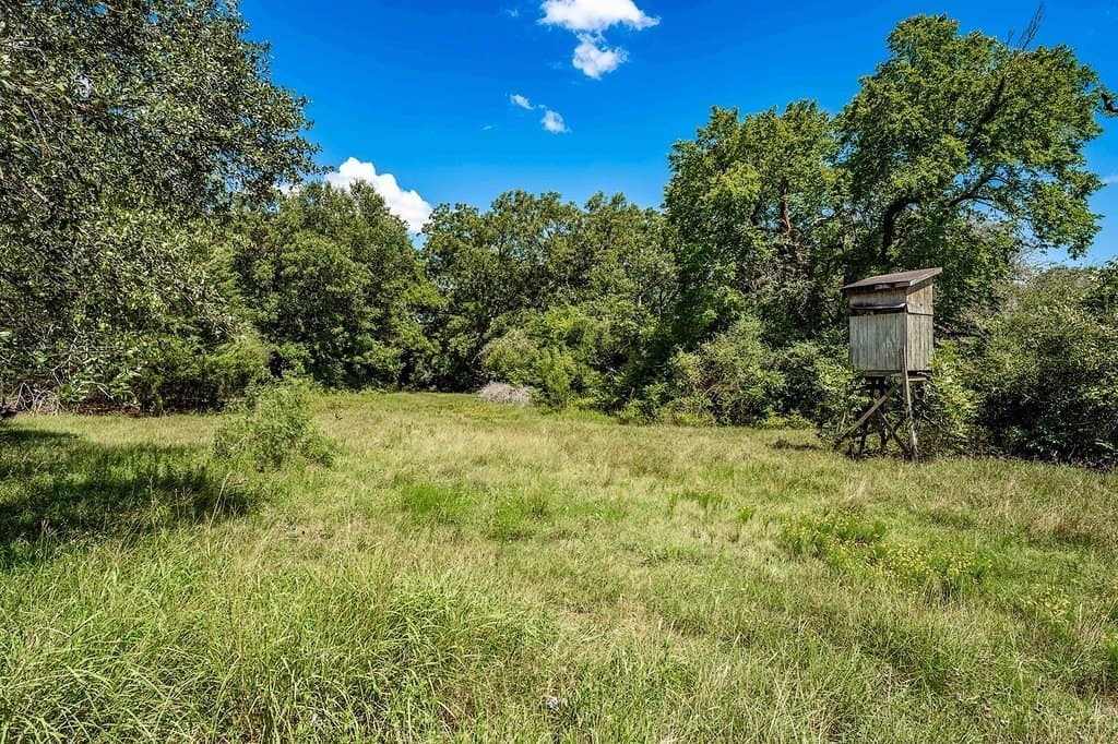 52.16 acres in Colorado County - photo 7