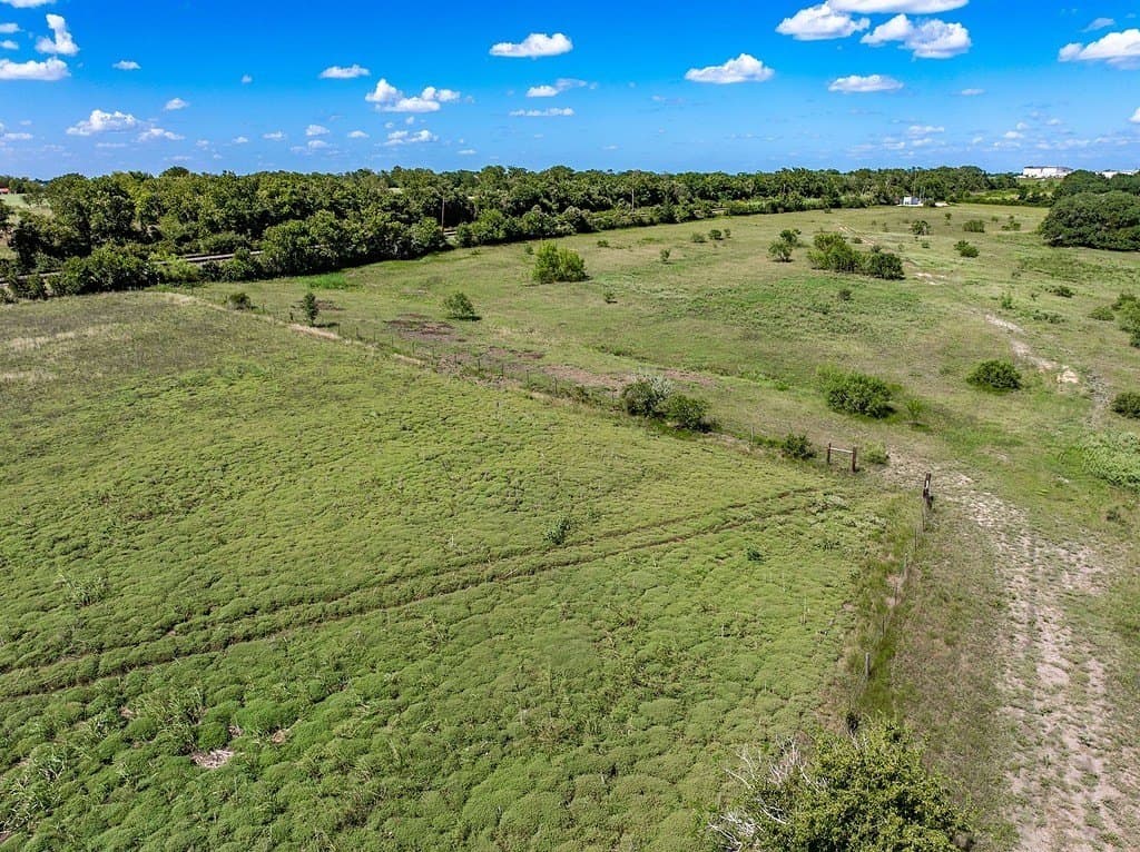 52.16 acres in Colorado County - photo 16