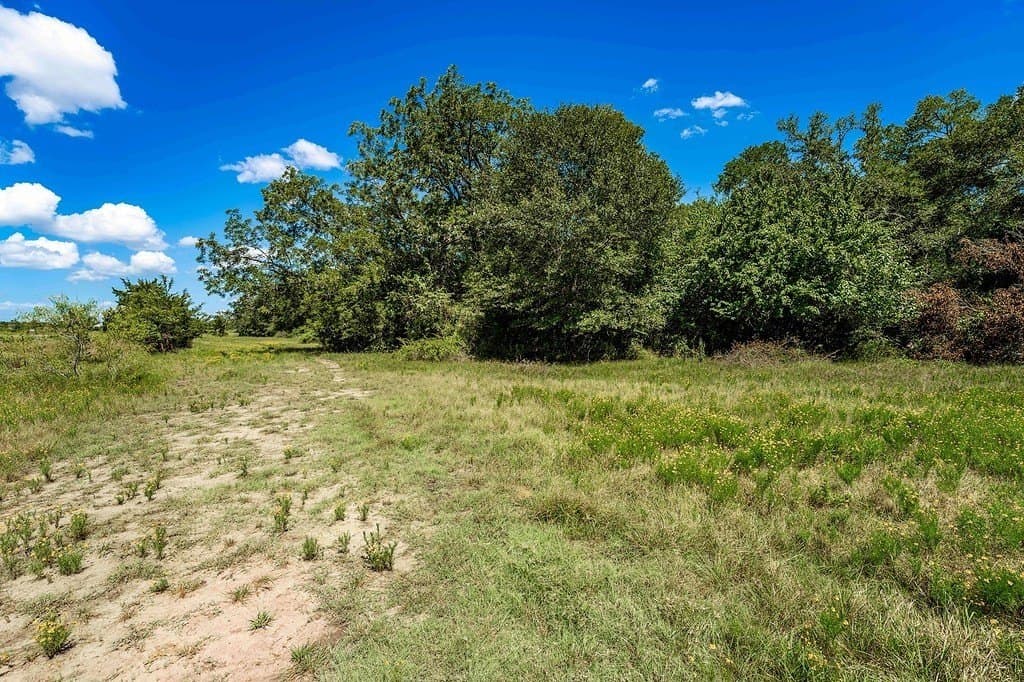 52.16 acres in Colorado County - photo 8
