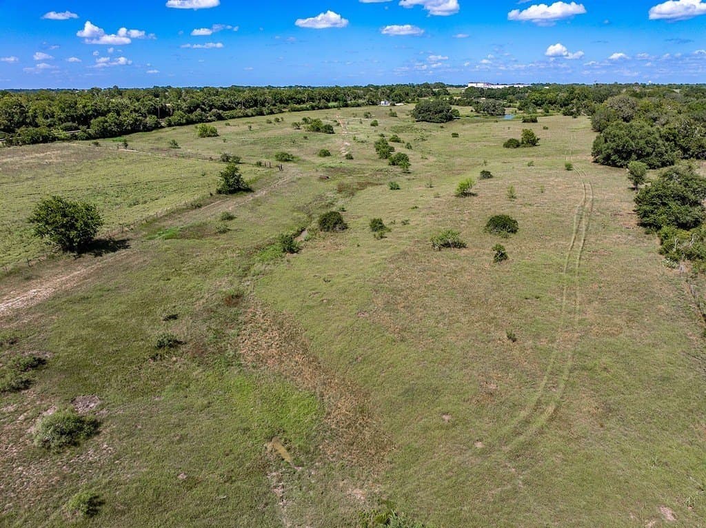52.16 acres in Colorado County - photo 17