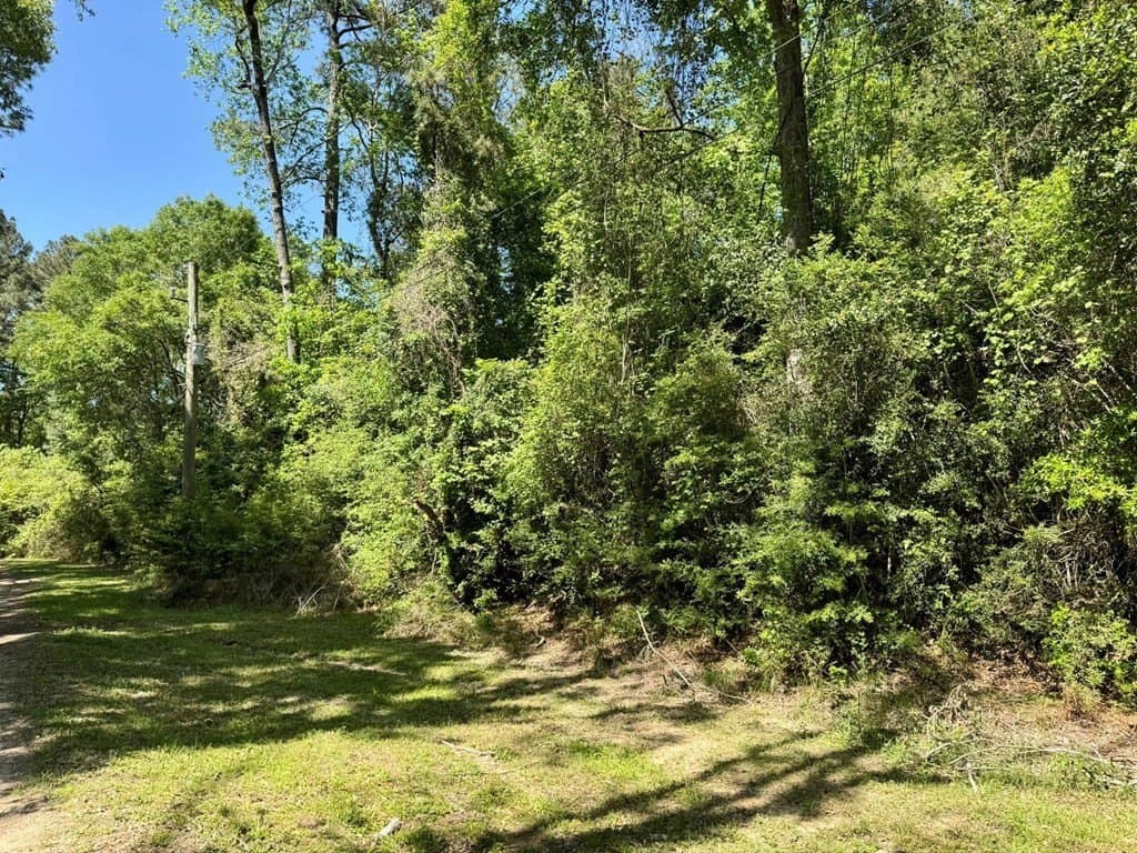 10.62 acres in Texas County gallery image 2