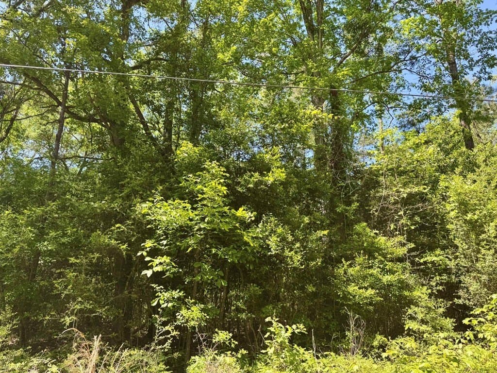 10.62 acres in Texas County featured view