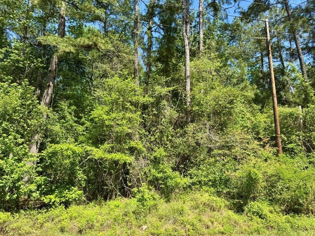 10.62 acres in Texas County gallery image 4