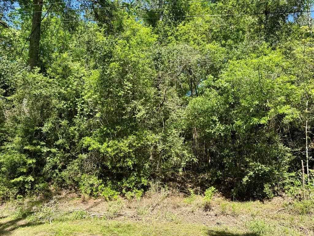 10.62 acres in Texas County gallery image 3