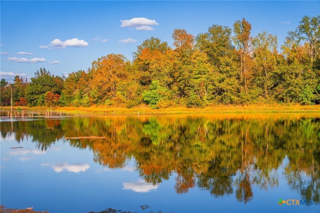 265 acres in Henderson County - photo 13