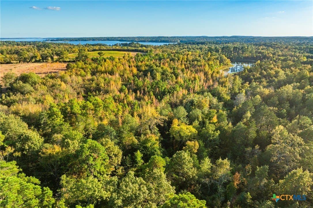 265 acres in Henderson County - photo 24