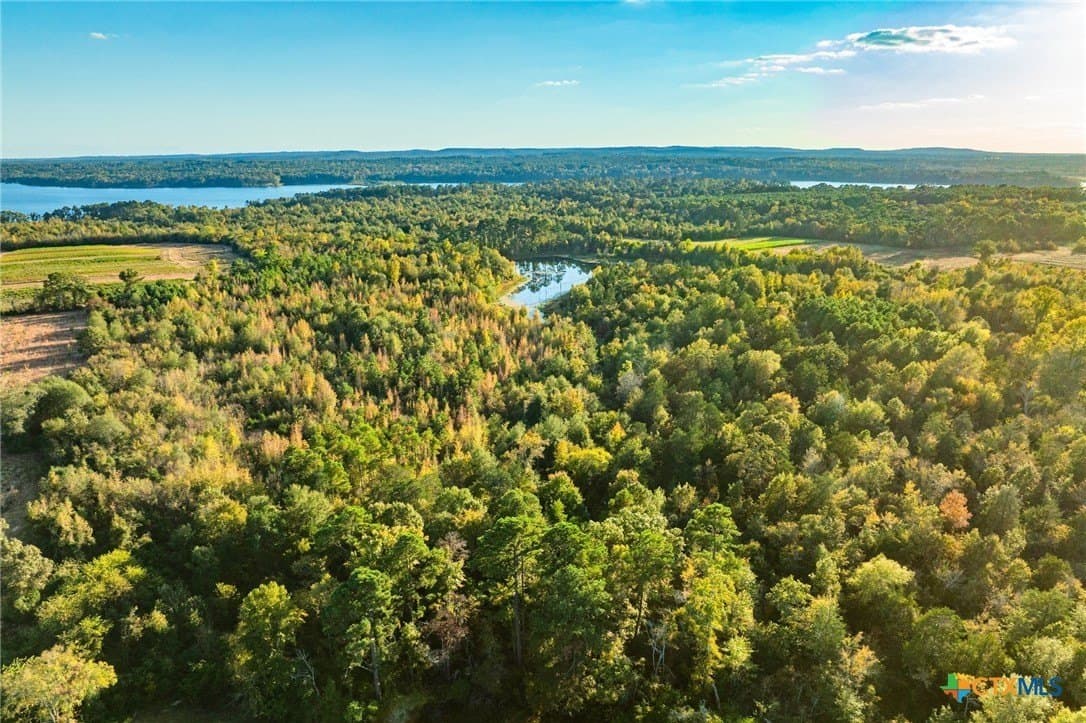 265 acres in Henderson County - photo 26