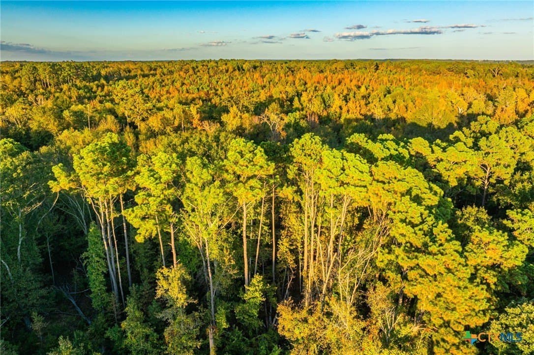 265 acres in Henderson County - photo 11