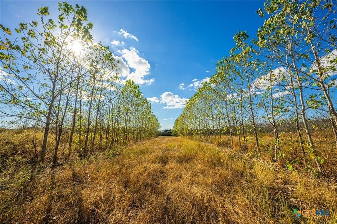 265 acres in Henderson County - photo 17