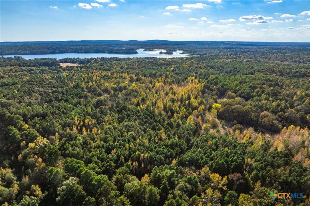 265 acres in Henderson County - photo 18