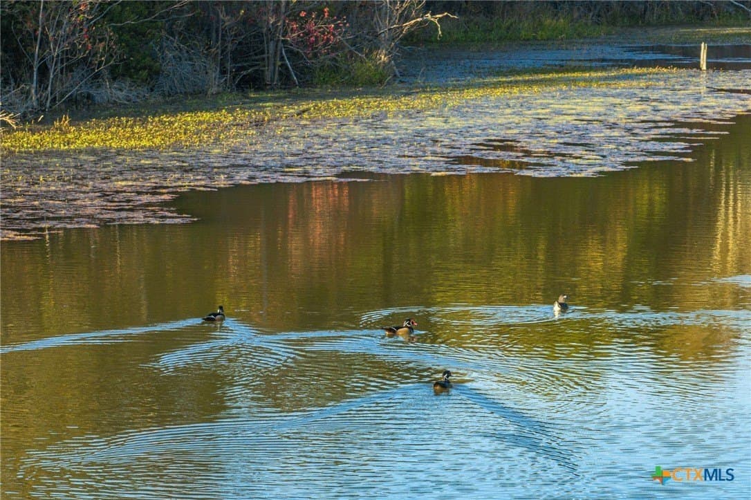 265 acres in Henderson County - photo 25