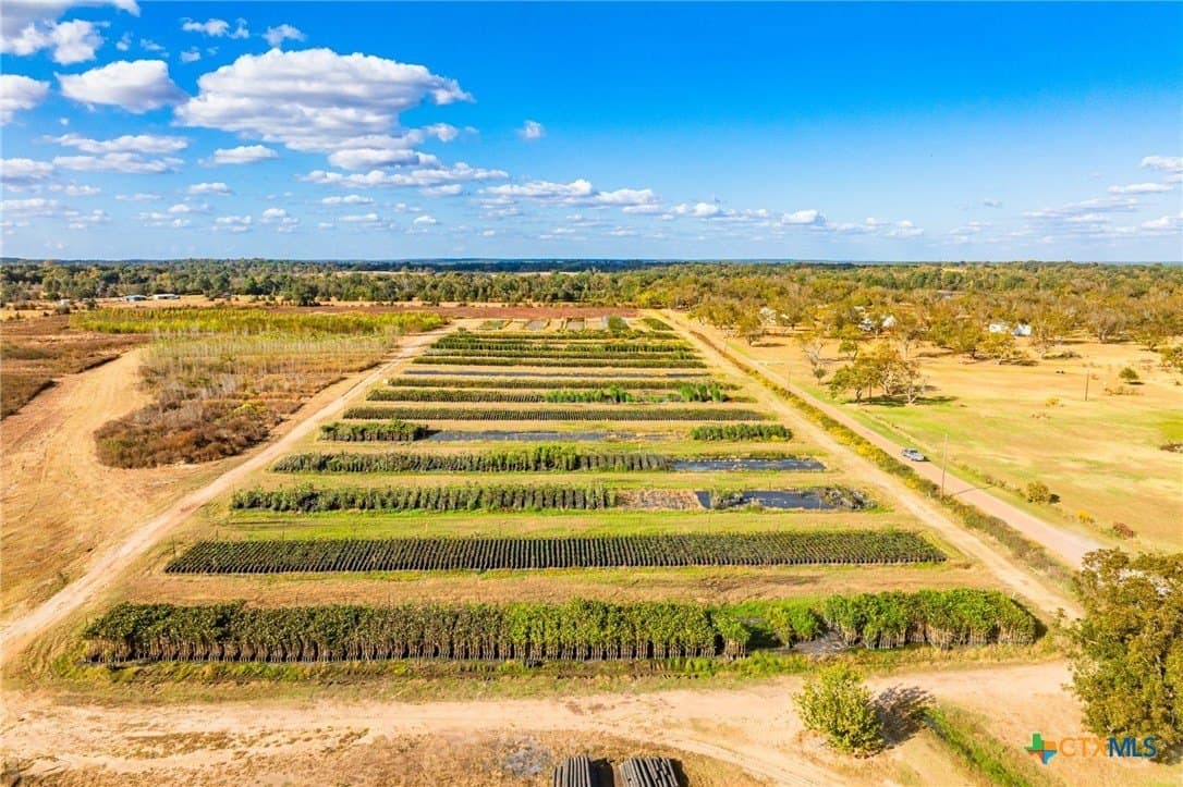 265 acres in Henderson County - photo 20