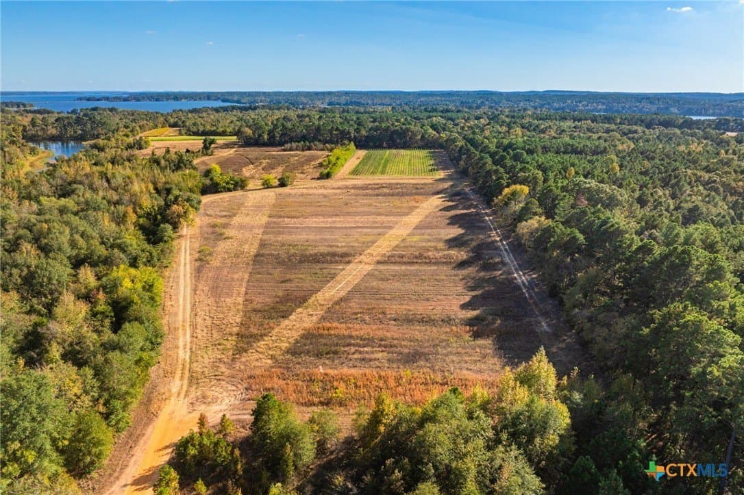265 acres in Henderson County - photo 19