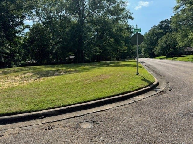 0.48 acres in Texas County - photo 6