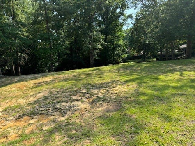 0.48 acres in Texas County - photo 2
