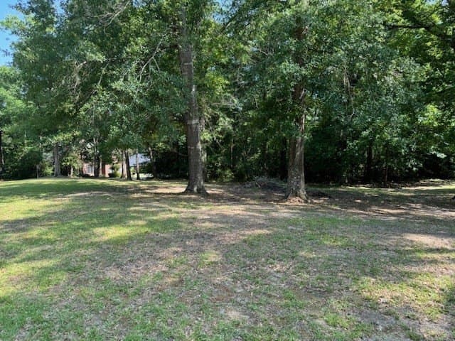 0.48 acres in Texas County - photo 3