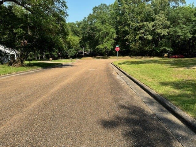 0.48 acres in Texas County - photo 4