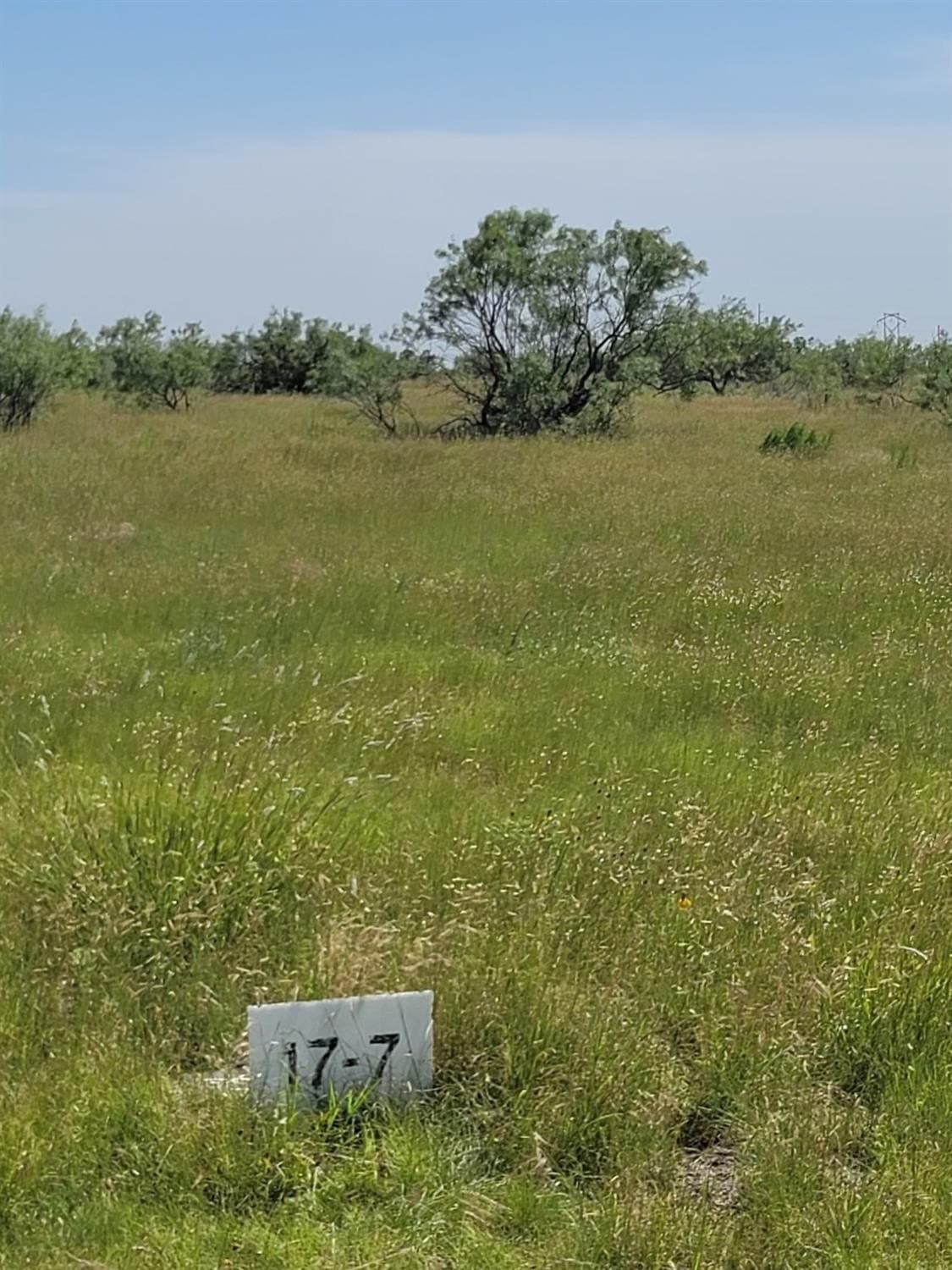 3.1 acres in Randall County - photo 4