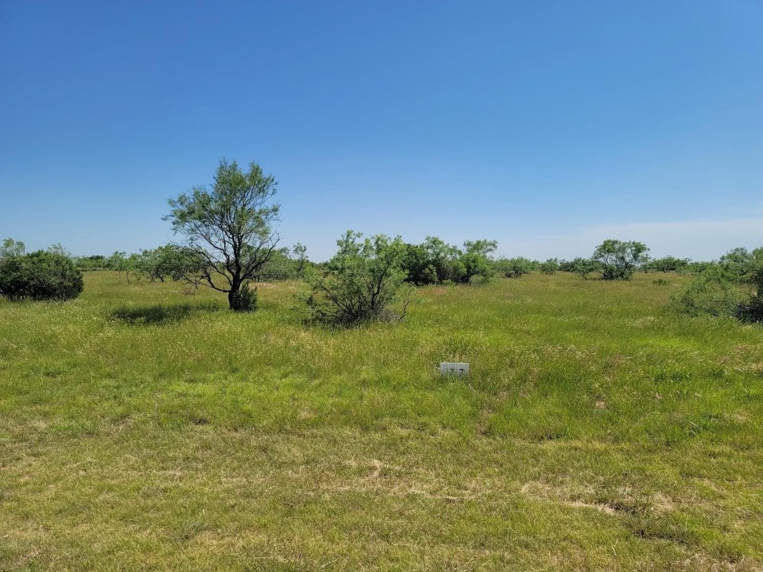 3.1 acres in Randall County - photo 6