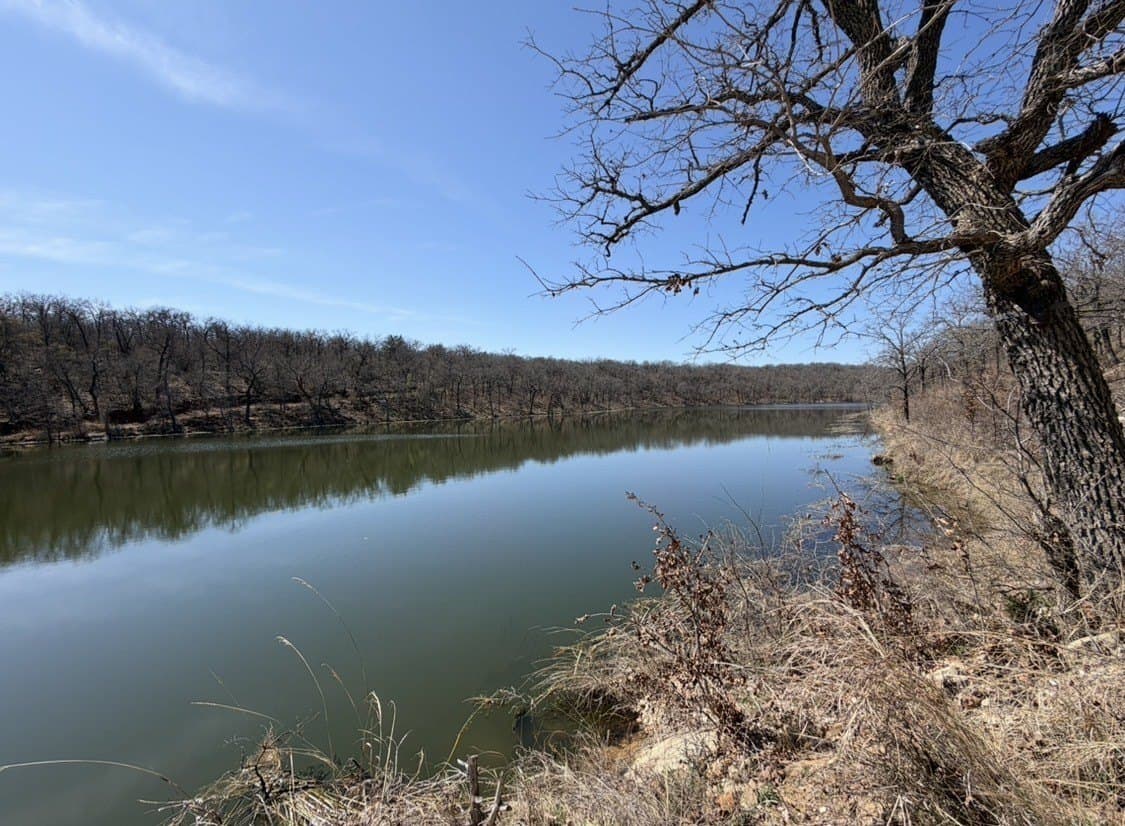 60 acres in Parker County gallery image 4