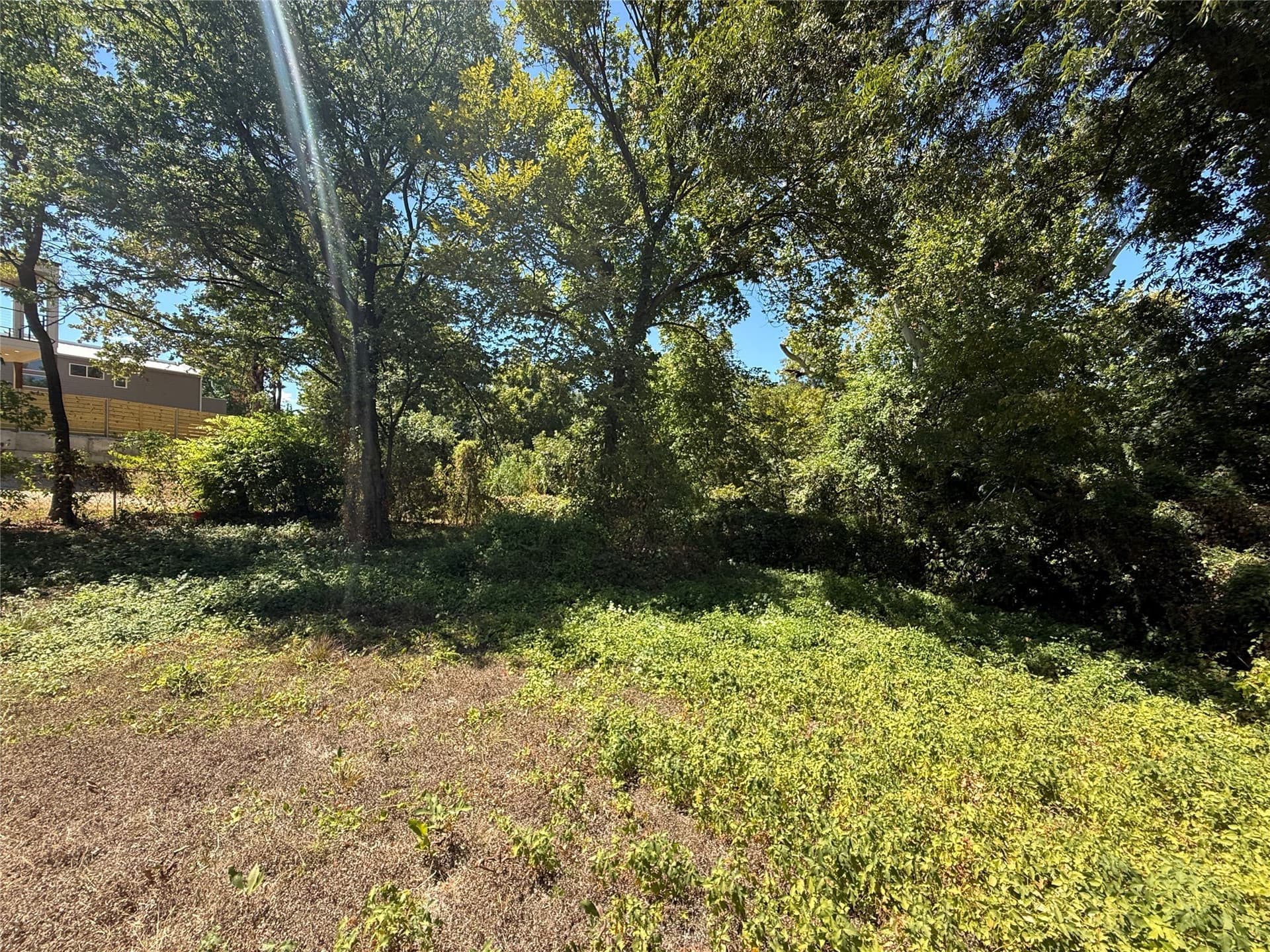 0.31 acres in Dallas County - photo 3