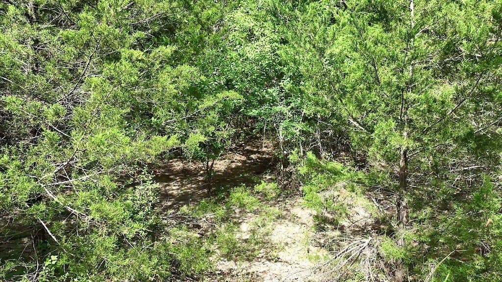 17 acres in Fayette County - photo 14