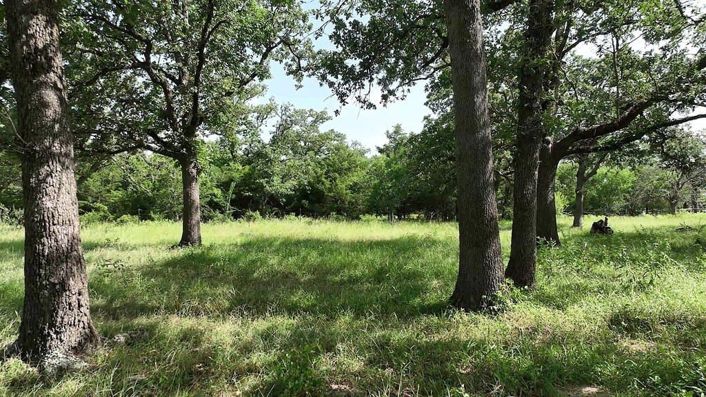 17 acres in Fayette County - photo 13