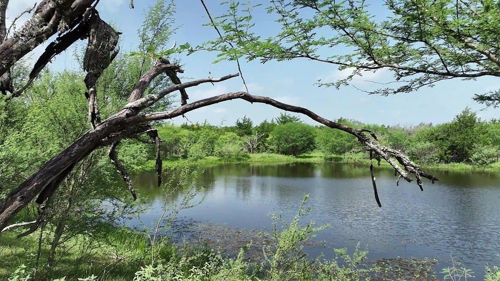 17 acres in Fayette County - photo 7
