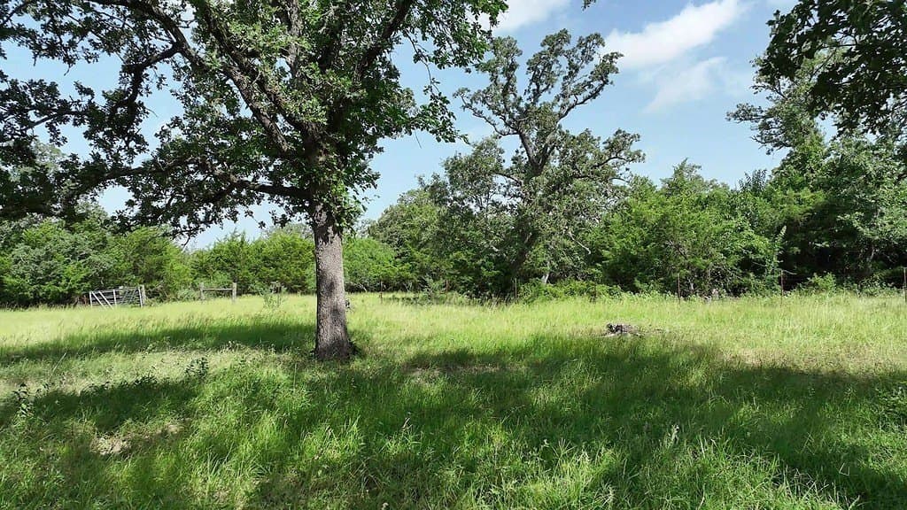 17 acres in Fayette County - photo 9