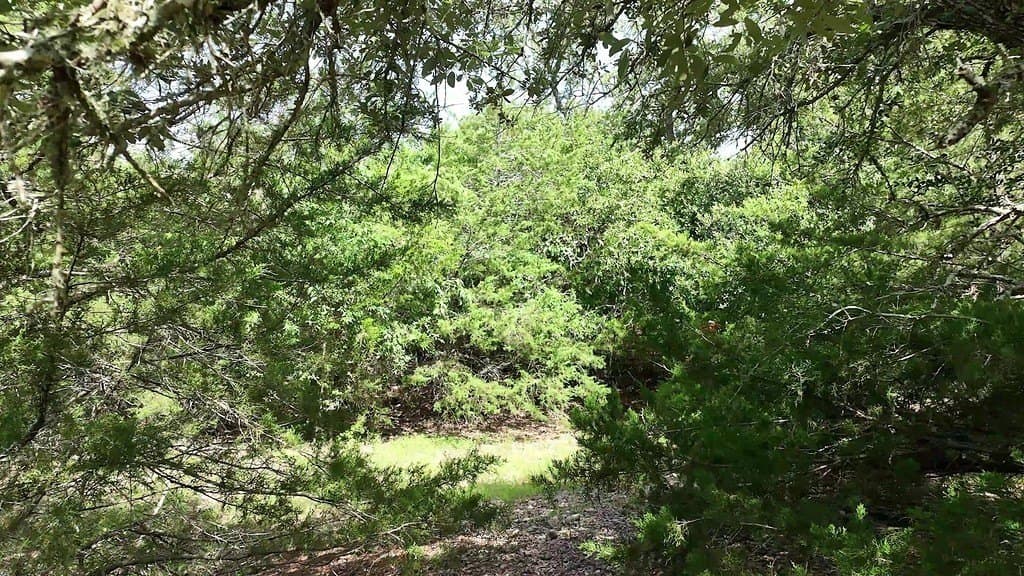 17 acres in Fayette County - photo 16
