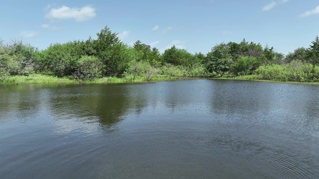 17 acres in Fayette County - photo 15