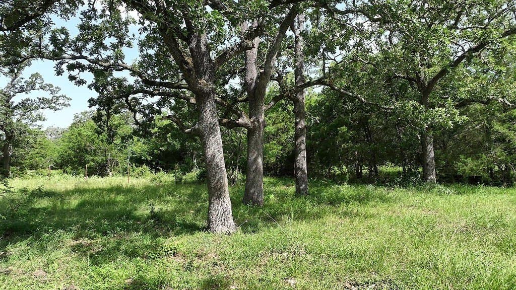 17 acres in Fayette County - photo 17