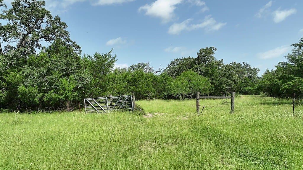 17 acres in Fayette County - photo 18