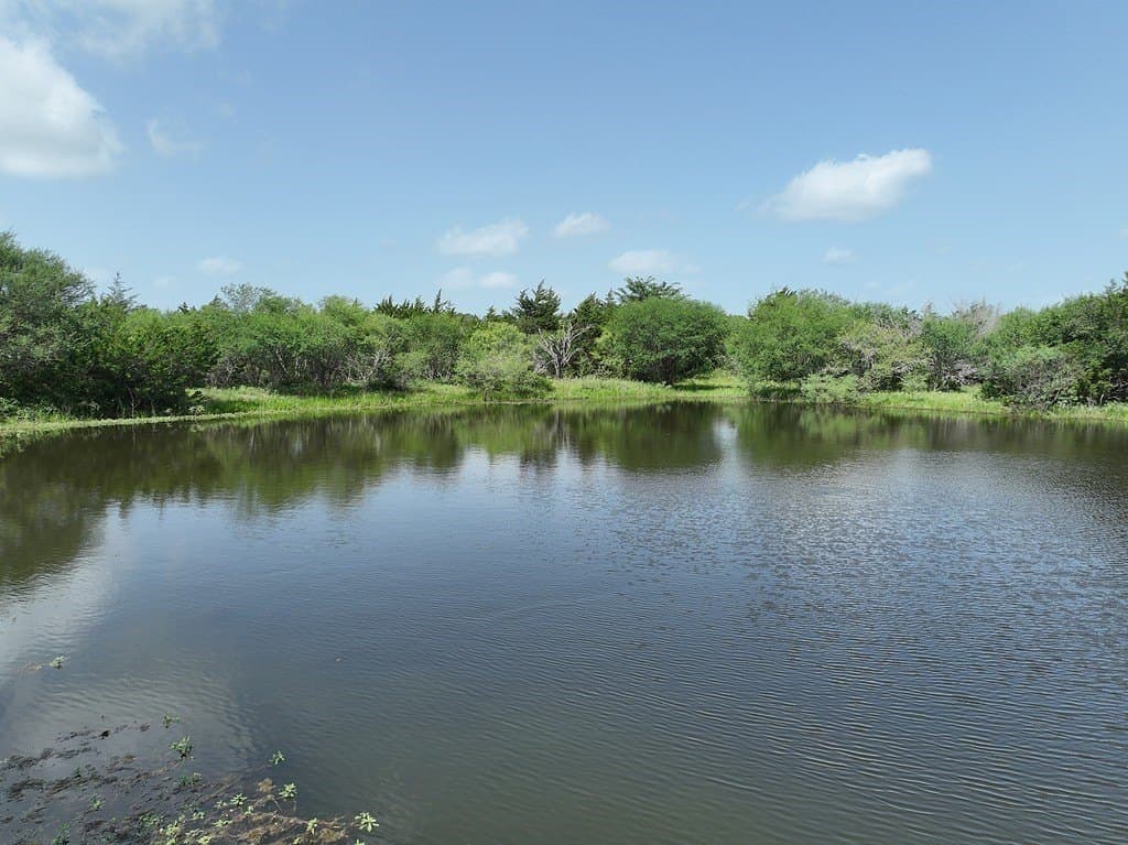 17 acres in Fayette County - photo 24